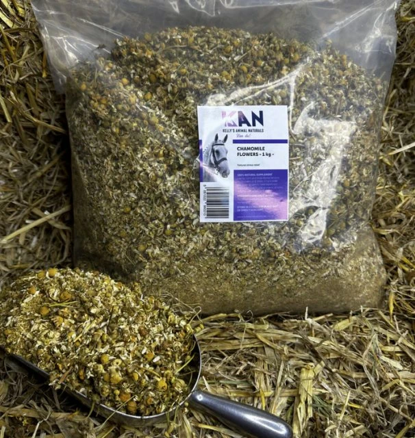 Natraliving Horse Chamomile Flowers 3 Natraliving Horse Chamomile Flowers