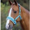 Fleece Lined Lunging Cavesson -Horse Supplies Store 12396