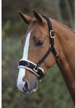 Fleece Lined Lunging Cavesson -Horse Supplies Store 12396c