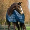 Horseware Liner 200g -Horse Supplies Store 12401