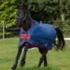 Amigo Mio Turnout Medium -Horse Supplies Store 12448
