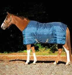 Amigo Mio Insulator Heavy