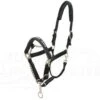 LeMieux Pro-Safe Head Collar 1 LeMieux Pro-Safe Head Collar -Horse Supplies Store 12501