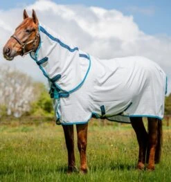 Amigo Aussie All Rounder (Disc Front) -Horse Supplies Store 13350c