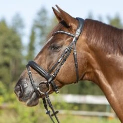 Kieffer Ultrasoft Economy II Flash Bridle