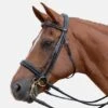 Albion KB Weymouth Headstall - Super -Horse Supplies Store 13572