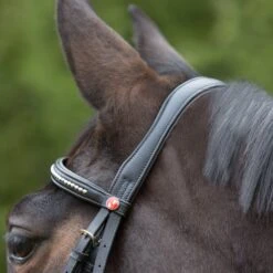 Kieffer Ultrasoft Flash Bridle -Horse Supplies Store 13637c
