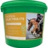Global Herbs Herbal Electrolyte -Horse Supplies Store 13692