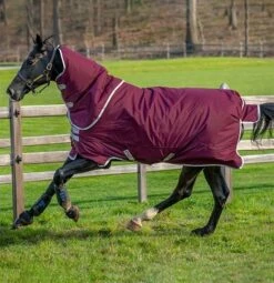 Amigo Hero Ripstop Plus Medium