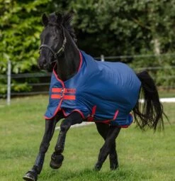 Amigo Mio Turnout Lite