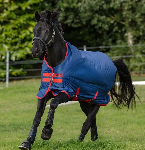 Amigo Mio Turnout Lite 3 Amigo Mio Turnout Lite