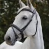 Ecorider Ecolux Bridle -Horse Supplies Store 14178