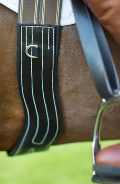 Ecorider Freedom Anatomic Girth 3 Ecorider Freedom Anatomic Girth