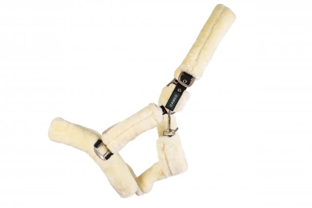 Ecorider Deluxe Headcollar 6 Ecorider Deluxe Headcollar - Image 4