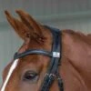 Fairfax Headpiece - Snaffle Bridle 1 Fairfax Headpiece - Snaffle Bridle -Horse Supplies Store 14292
