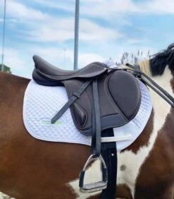 Ecorider Freedom Jump Saddle -Horse Supplies Store 14433c