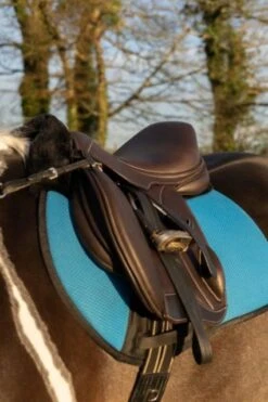 Ecorider Freedom Jump Saddle -Horse Supplies Store 14433e
