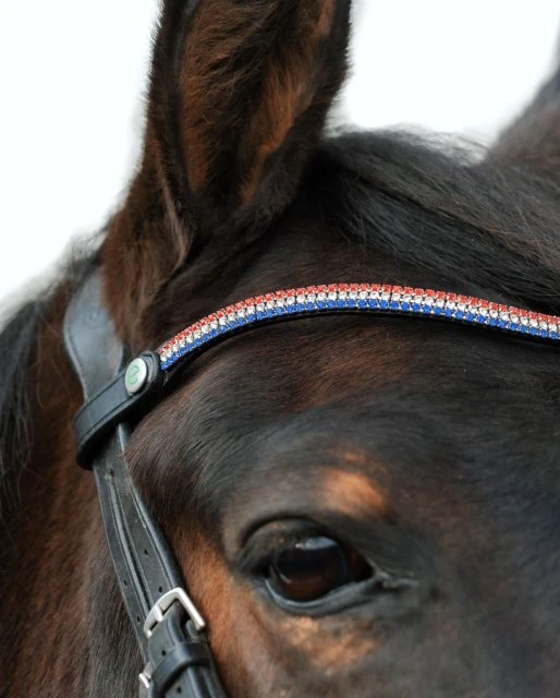 Ecorider Freedom Victoria Browband 3 Ecorider Freedom Victoria Browband
