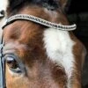 Ecorider Freedom Juliette Browband -Horse Supplies Store 14499