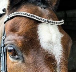 Ecorider Freedom Juliette Browband