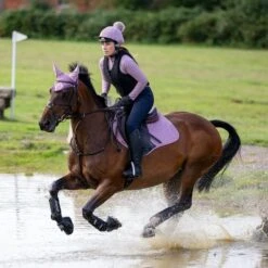 LeMieux Classic Lycra Fly Hood - Musk -Horse Supplies Store 14544d