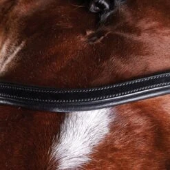 Collegiate Comfitec Training Bridle -Horse Supplies Store 14593c