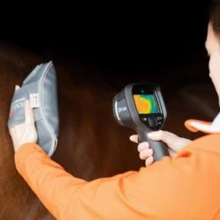 Equilibrium Massage Mitt Hotspot -Horse Supplies Store 14657c