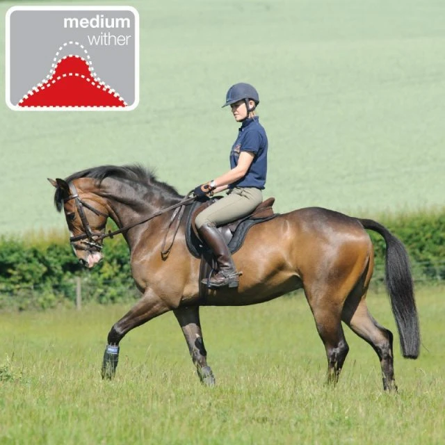 Thorowgood T8 Dressage Moveable Block 6 Thorowgood T8 Dressage Moveable Block - Image 4