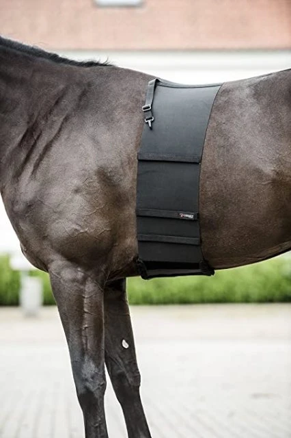 Catago Body Shield 4 Catago Body Shield - Image 2