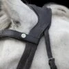 Ecorider Freedom Comfort Browband -Horse Supplies Store 14810