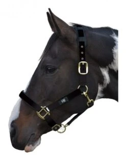 Hy Deluxe Padded Headcollar -Horse Supplies Store 15407c