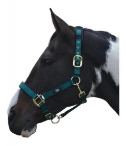 Hy Deluxe Padded Headcollar -Horse Supplies Store 15407d