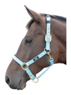 Hy Deluxe Padded Headcollar -Horse Supplies Store 15407e