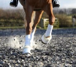 LeMieux WrapRound Lambswool Over Reach Boots 6 LeMieux WrapRound Lambswool Over Reach Boots -Horse Supplies Store 15435b