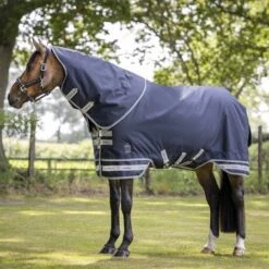 LeMieux Arika Storm-Tek 100g -Horse Supplies Store 15436d