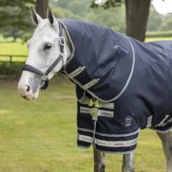 LeMieux Arika Storm-Tek 200g -Horse Supplies Store 15437e