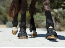 LeMieux Support Boots -Horse Supplies Store 15442e
