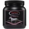 Omega Equine Digest Gut Balancer -Horse Supplies Store 15456