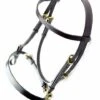 Dever Classic In Hand Bridle -Horse Supplies Store 15479