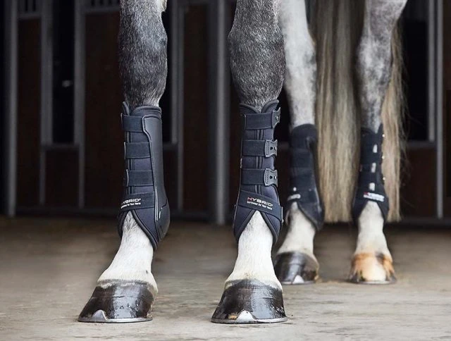 Catago Hybrid Dressage Boot - Black 4 Catago Hybrid Dressage Boot - Black - Image 2