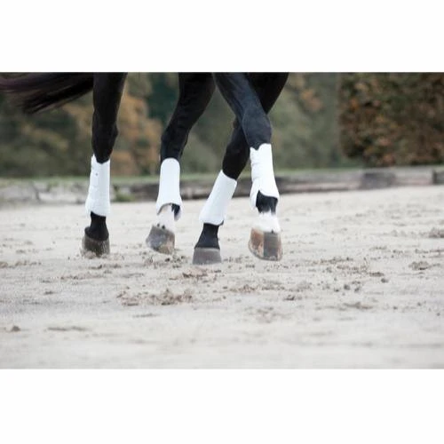 Catago Dressage Boots - White 4 Catago Dressage Boots - White - Image 2