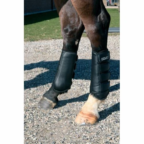 Catago Dressage Boots - Black 4 Catago Dressage Boots - Black - Image 2