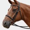 Albion Complete Headstall - Competition Snaffle (Plain Browband) 1 Albion Complete Headstall - Competition Snaffle (Plain Browband) -Horse Supplies Store 15541