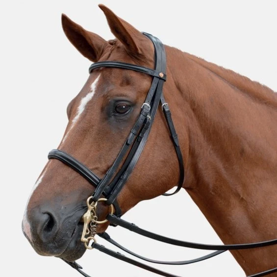 Albion Complete Headstall - Competition Double (Crystal Browband) 3 Albion Complete Headstall - Competition Double (Crystal Browband)