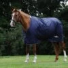 Saxon Defiant 600D Standard Neck Lite -Horse Supplies Store 15760