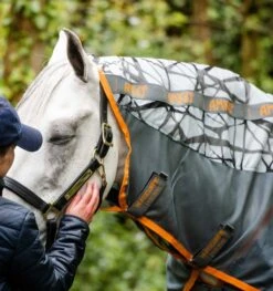 Amigo CamoFly -Horse Supplies Store 15809c