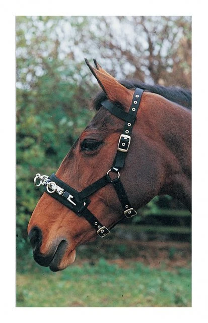 Hy Lunge Caveson 3 Hy Lunge Caveson