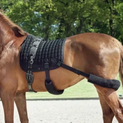 Catago FIR-Tech Training Saddle Pad -Horse Supplies Store 15959d