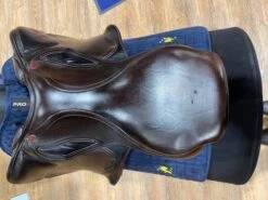 Albion Kontact Lite -Horse Supplies Store 15979c