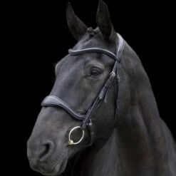 Ecorider Ecosoft Enigma Bridle -Horse Supplies Store 16001c